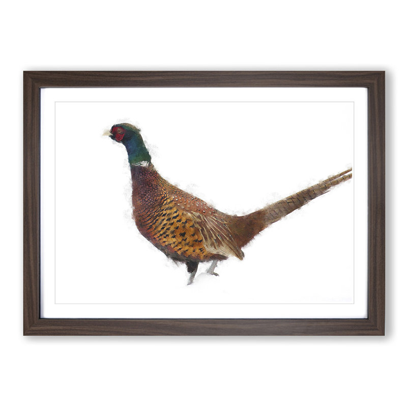 Pheasant Bird in Winter - Picture Frame Graphic Art Print, 45cm H x 63cm W x 2cm D, Walnut