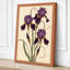 Purple Iris Study Botanical - Wrapped Canvas-2113550038-2113550039