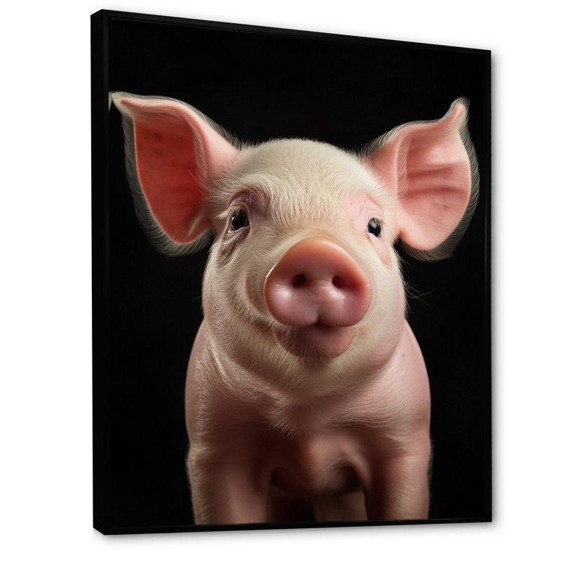 Cochon rose curieux sur toile, H 20 po x l 12 po x P 1 po, Cadre flottant noir