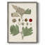 «Leaves & Berries IV», reproduction encadrée - bois massif-681314152