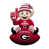 NCAA Georgia Bulldogs