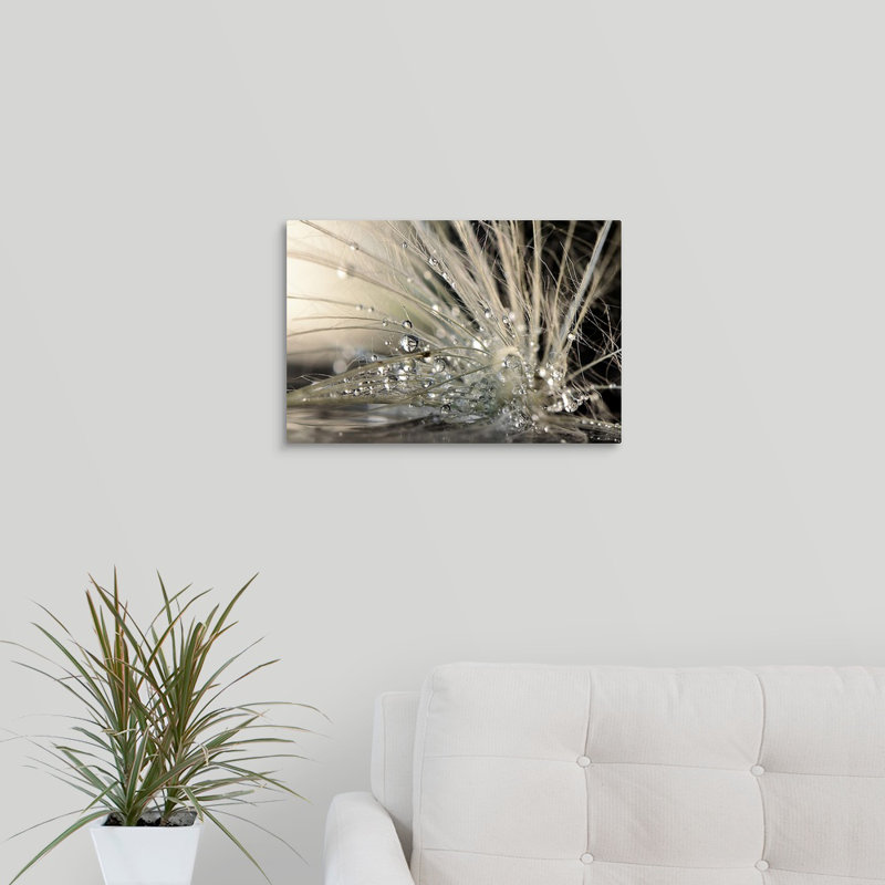 « Straub Pearls » par Maryam Zahirimehr - reproduction de photo, H 12 po x l 18 po x 1,5 po, Toile tendue, No Frame