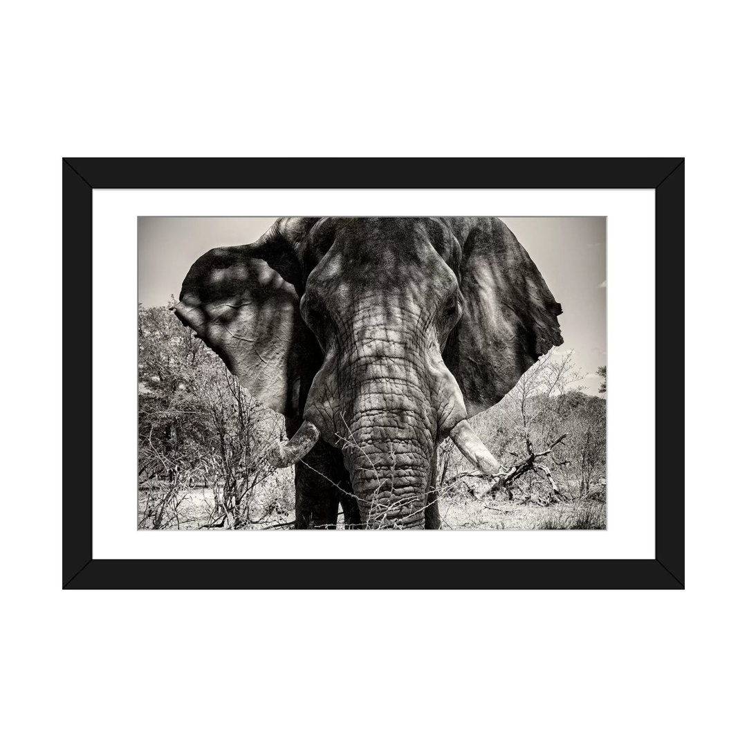 " Elephant Portrait " by Philippe Hugonnard East Urban Home Mat 