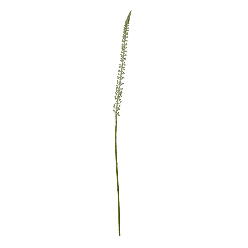 Anastasija Arrangement, White