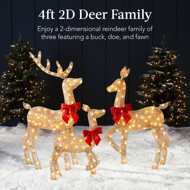 The Holiday Aisle® 4Ft 3-Piece Lighted 2D Christmas Deer Set 