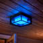 Applique murale d'extérieur Philips Hue
