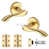 Polished Brass