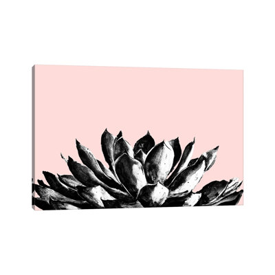 Agave On Blush by Patricia Pinto - Wrapped Canvas Gallery-Wrapped Canvas Giclée