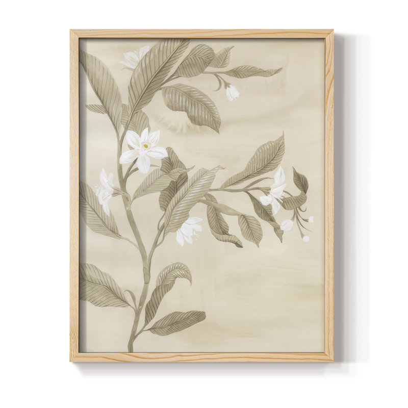 Sépia, fleur d'oranger, croquis I, reproduction encadrée - bois massif, H 30 po x l 24 po, Naturel