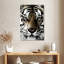 Brampt White Tiger Gaze-108441146