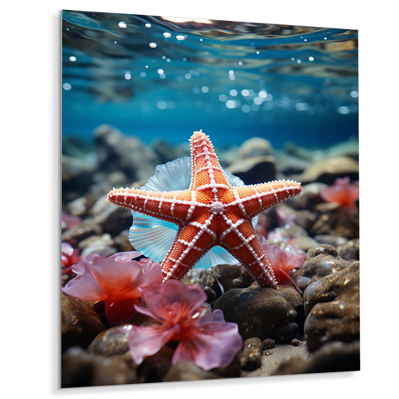 Corail bleu sarcelle étoile de mer - étoile de mer, reproduction d'art en métal, H 40 po x l 30 po x P 1 po