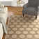 Burnell Performance Ikat Indoor/Outdoor Area Rug
