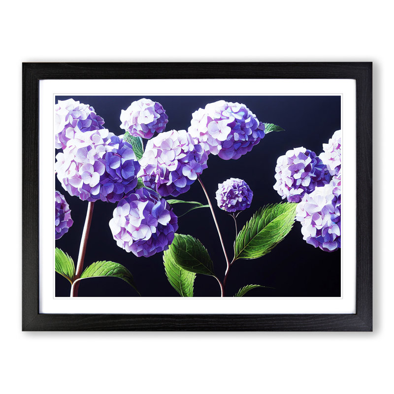 Hydrangea Flower View Vol.4 - Single Picture Frame Print, Black, 25cm H x 34cm W x 2cm D