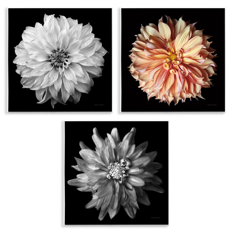 "Dahlia", ensemble de 3 plaques murales détaillées par Debra Van Swearingen