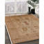 Tapis beige Fenix-1548319333