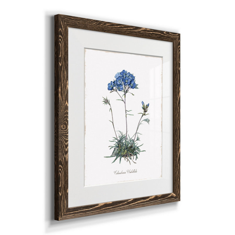 Douces pivoines I - Cadre photo, reproduction d'art sur papier, Noyer, H 24 po x l 18 po x P 1,5 po