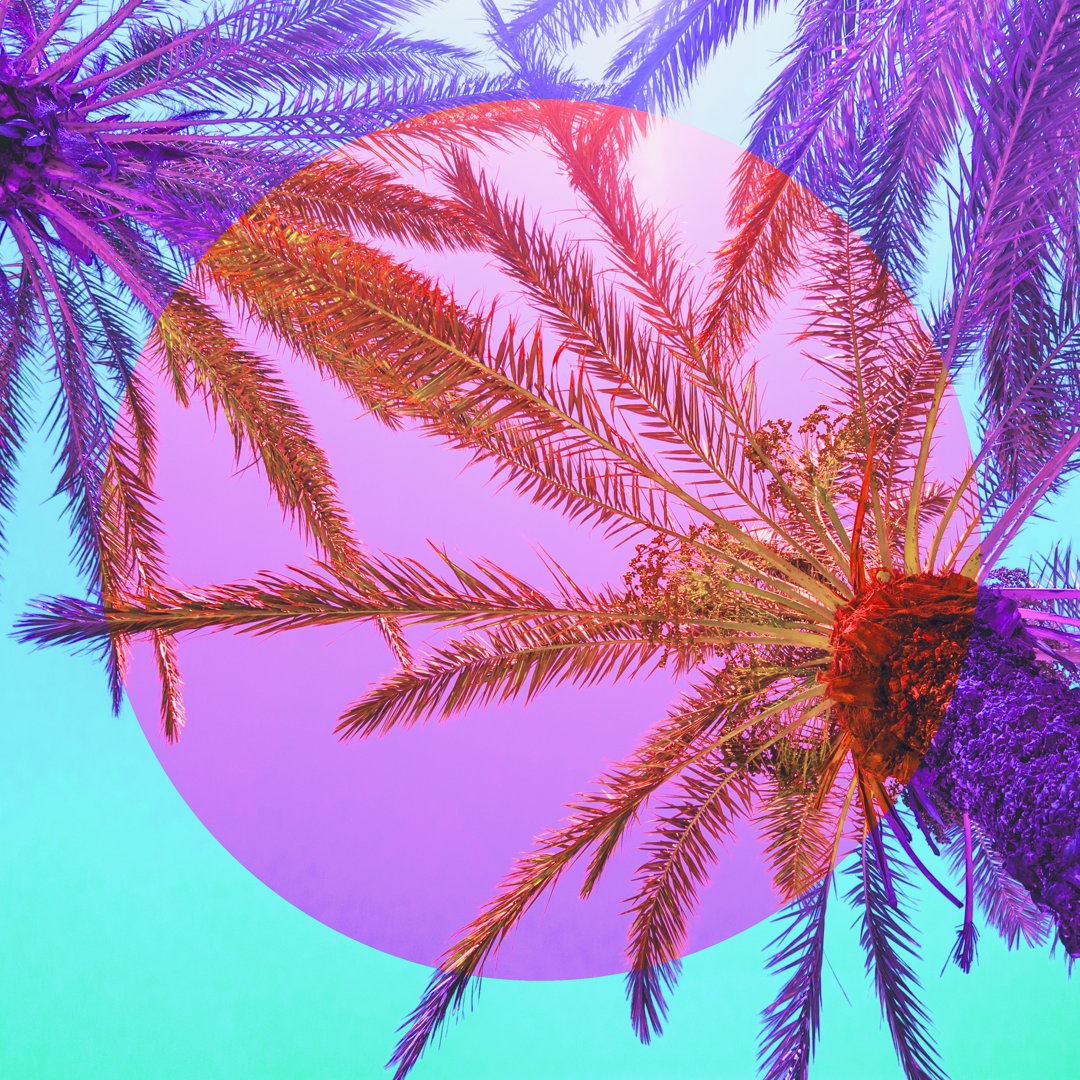 Palm Trees - Wrapped Canvas Print