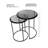 Alga Glass Top Nesting Tables