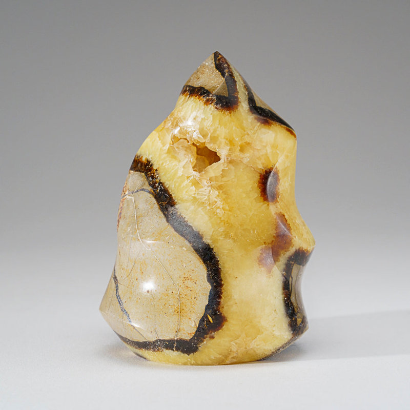 Septarian Crystal