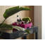 Japandi Wood Decorative Tray-1558829305