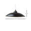 Luminaire suspendu d'extérieur 1 lumière Alban