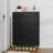 Shoe Cabinet-153164213