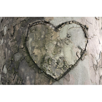 Heart Shape Carved on Tree 1 Piece Wrapped Canvas Wall Art