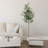 70.8'' Faux Fir Plant