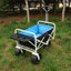 Folding Wagon Garden Shopping Beach Cart