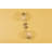 SARA Wall Sconce by Home Ec.