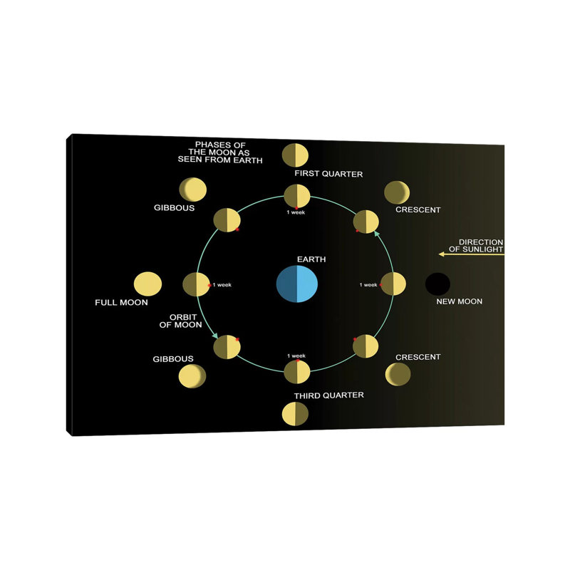 A Diagram Showing The Phases Of The Earth's Moon by Ron Miller - Wrapped Canvas Print, 20.32 cm H x 30.48 cm W
