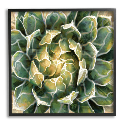 «Leafy Succulent Plant Nature» encadré sur bois par Lindsay Benson, peinture
