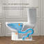 Toilette une pièce kaki 17 po ADA-132835965