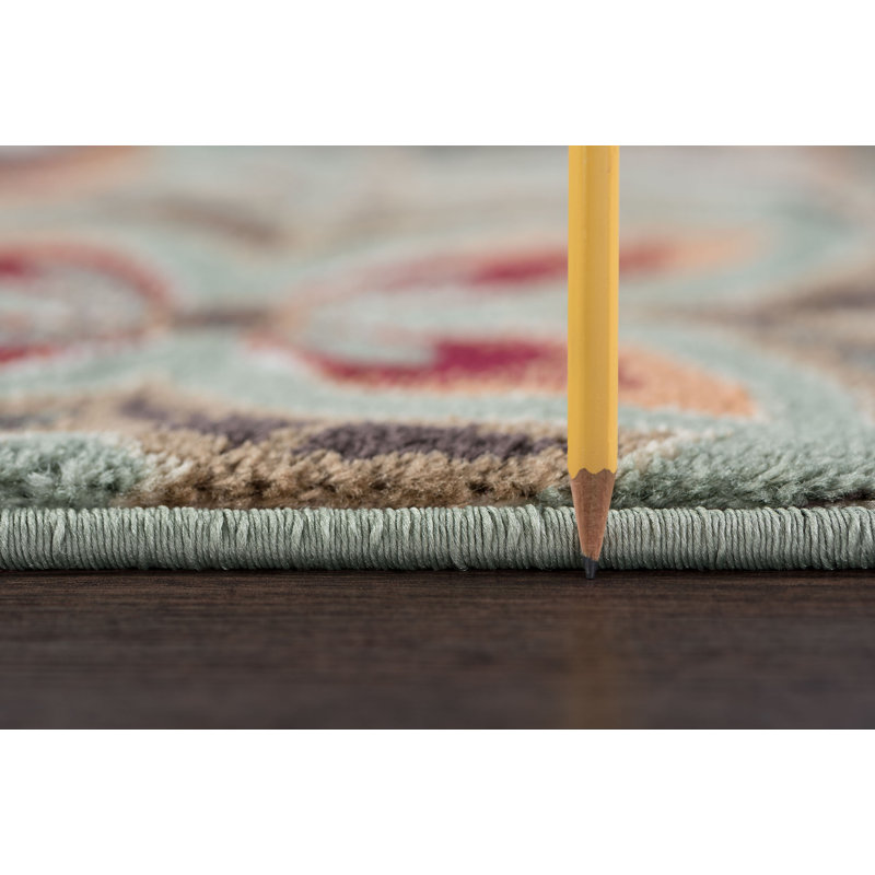 Elmer Transitional Seafoam/Red/Green Area Rug, Rectangle 2' x 3'