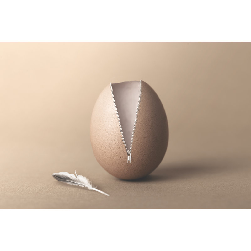 Unzipped Surreal Egg by Francescoch - Wrapped Canvas Print, 30cm H x 46cm W