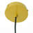 Exquisite Pendant Lamp with Stylish Design for Versatile Interiors