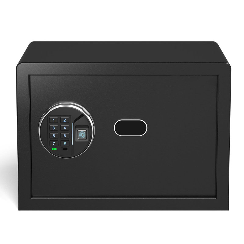 Compact Black Biometric Safe with LED Light and Backlit Keypad