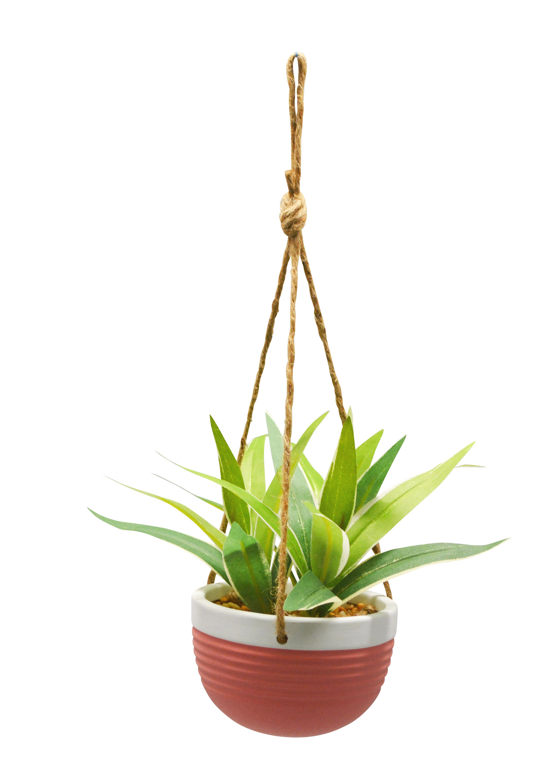 Wrought Studio 5'' Artificial Dracaena Plant in Decorative Vase