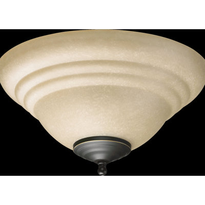 2 - Light LED Ceiling Fan Light Kit