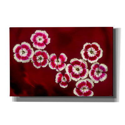 " Macro Flowers 02 " by Gordon Semmens