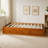 Twin Size Platform Storage Bed With 3 Drawers