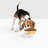Single Bowl Elevated Feeder-109702817-124349826