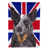 Bouvier australien (brun)