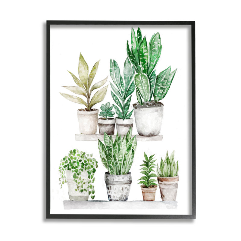 Plantes de lierre en pot mélangées par Ziwei Li, Giclée encadrée noir minuit, H 14 po x l 11 po x P 1,5 po