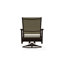Wexler Outdoor Swivel Lounge Chair-1099678792-1102391102