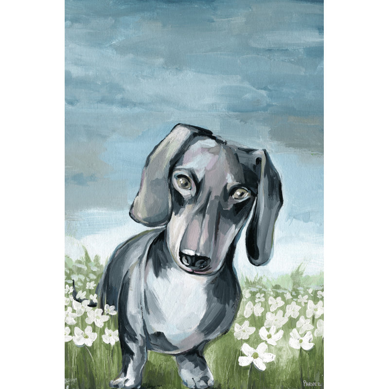 Beautiful Dachshund by Parvez Taj - Wrapped Canvas Painting, 61 cm H x 41 cm W x 4 cm D