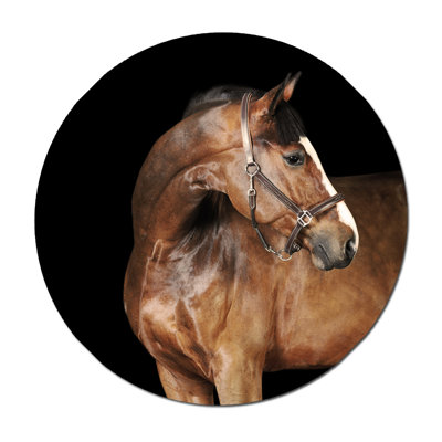 Cheval brun clair - Photographie sans cadre sur papier