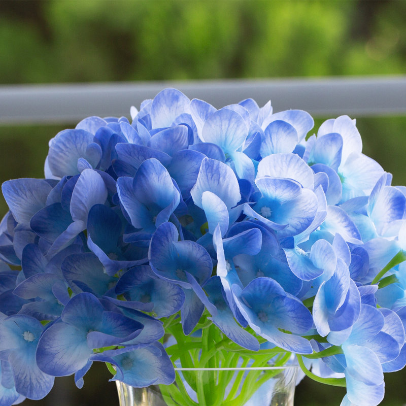 Arrangement d'hortensias dans un vase, Bleu