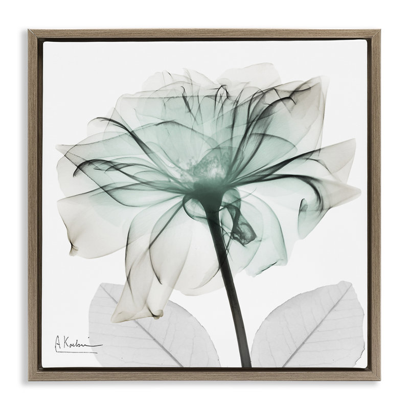 Cadre flottant unique à motif de pétales de fleurs, design par Albert Koetsier, H 25 po x l 25 po