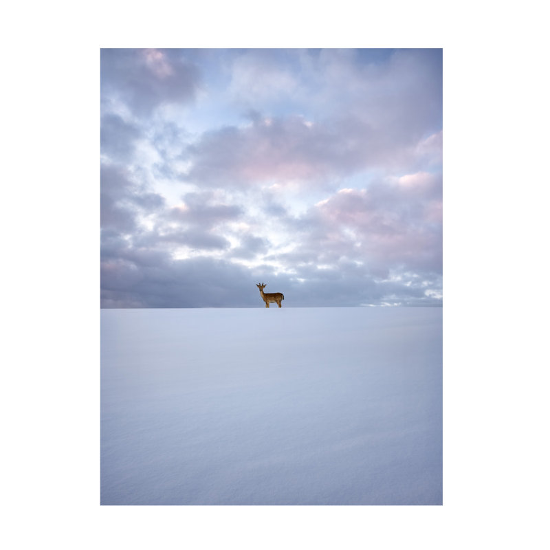 Art sur toile Christian Lindsten Alone, H 24 po x l 32 po
